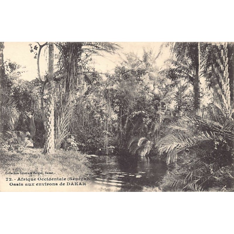 Rare collectable postcards of Senegal. Vintage Postcards of Senegal