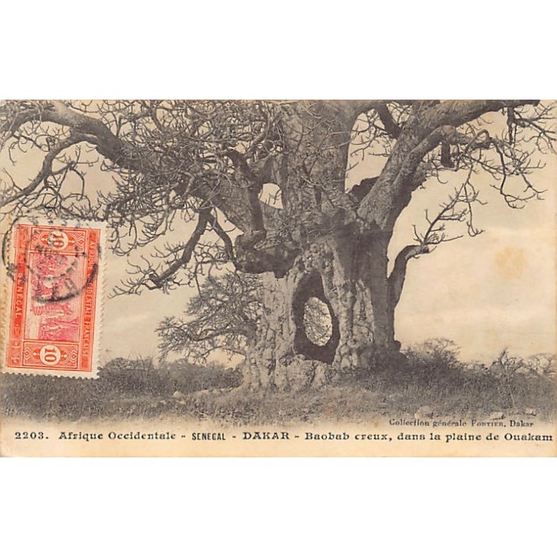 Rare collectable postcards of Senegal. Vintage Postcards of Senegal