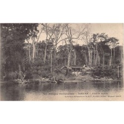 Rare collectable postcards of Senegal. Vintage Postcards of Senegal