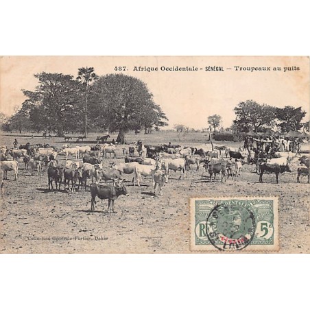 Rare collectable postcards of Senegal. Vintage Postcards of Senegal