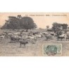 Rare collectable postcards of Senegal. Vintage Postcards of Senegal