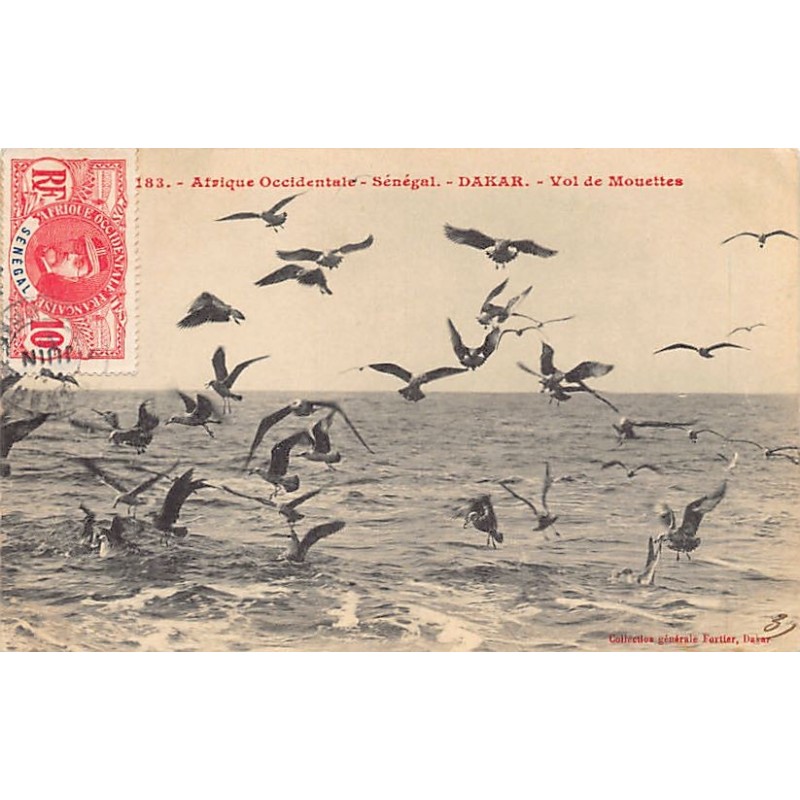 Rare collectable postcards of Senegal. Vintage Postcards of Senegal
