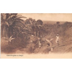 Rare collectable postcards of Senegal. Vintage Postcards of Senegal