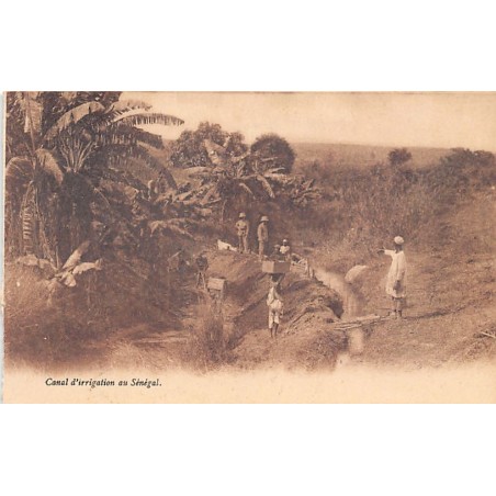 Rare collectable postcards of Senegal. Vintage Postcards of Senegal