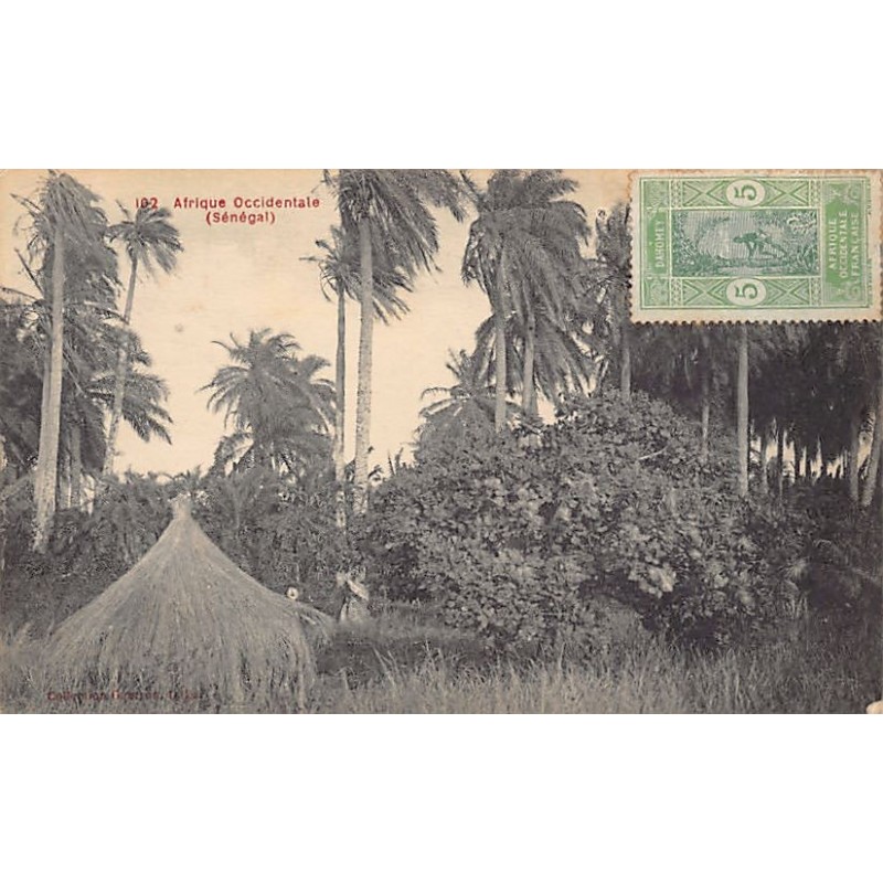Rare collectable postcards of Senegal. Vintage Postcards of Senegal