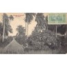 Rare collectable postcards of Senegal. Vintage Postcards of Senegal
