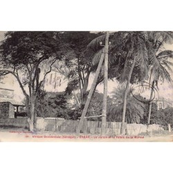 Rare collectable postcards of Senegal. Vintage Postcards of Senegal