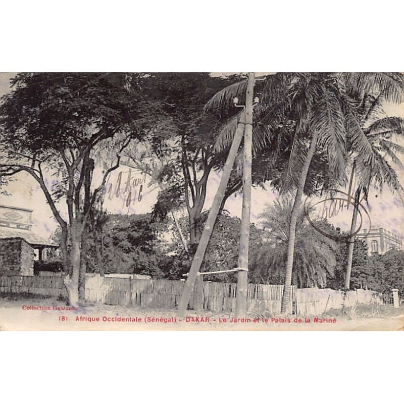 Rare collectable postcards of Senegal. Vintage Postcards of Senegal