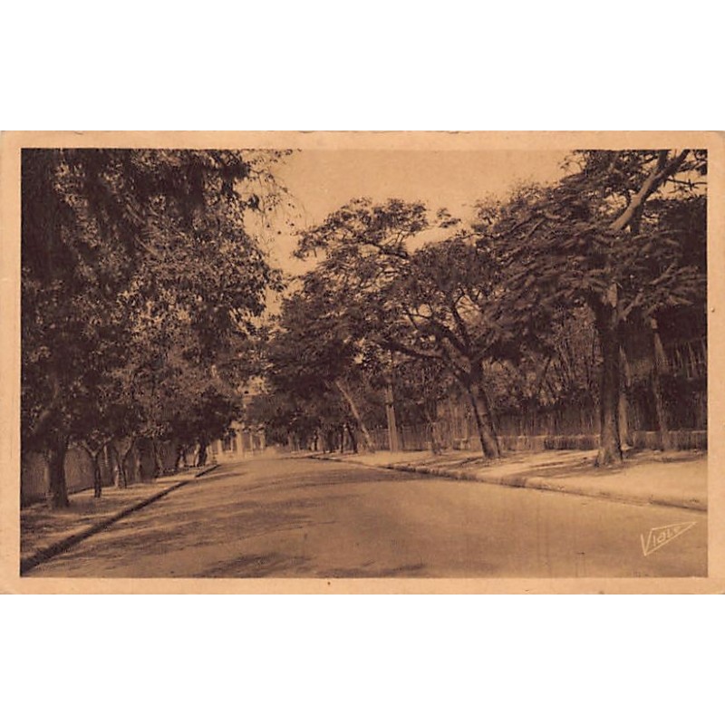 Rare collectable postcards of Senegal. Vintage Postcards of Senegal