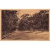 Rare collectable postcards of Senegal. Vintage Postcards of Senegal