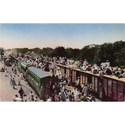 Rare collectable postcards of Senegal. Vintage Postcards of Senegal