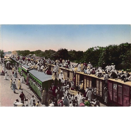 Rare collectable postcards of Senegal. Vintage Postcards of Senegal