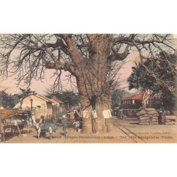 Rare collectable postcards of Senegal. Vintage Postcards of Senegal