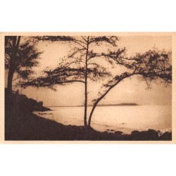 Rare collectable postcards of Senegal. Vintage Postcards of Senegal