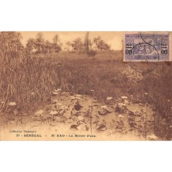 Rare collectable postcards of Senegal. Vintage Postcards of Senegal