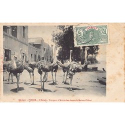 Rare collectable postcards of Senegal. Vintage Postcards of Senegal