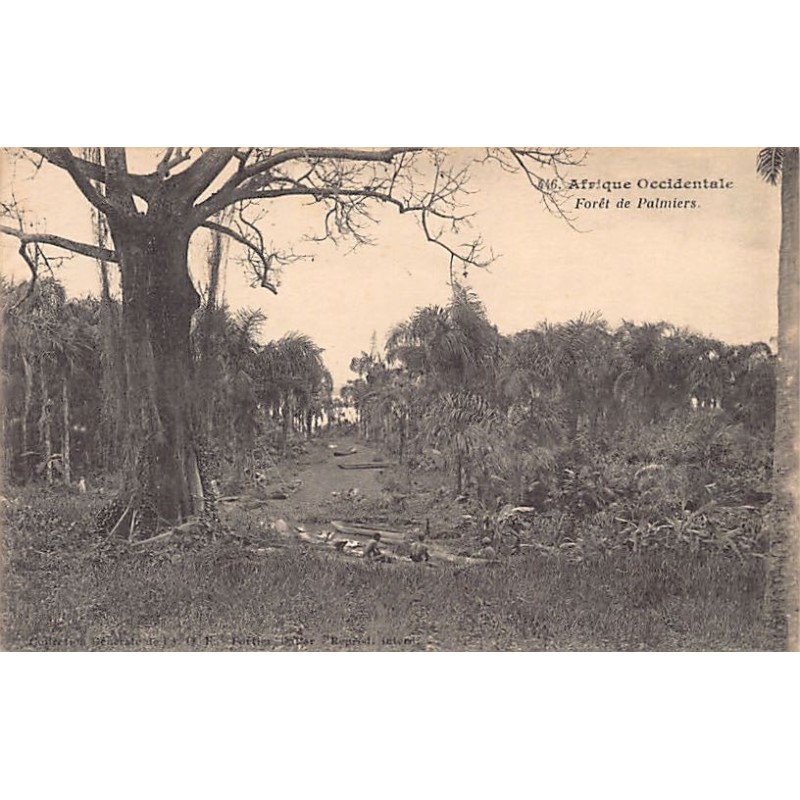 Rare collectable postcards of Senegal. Vintage Postcards of Senegal