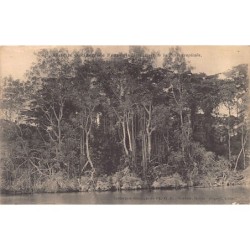 Rare collectable postcards of Senegal. Vintage Postcards of Senegal