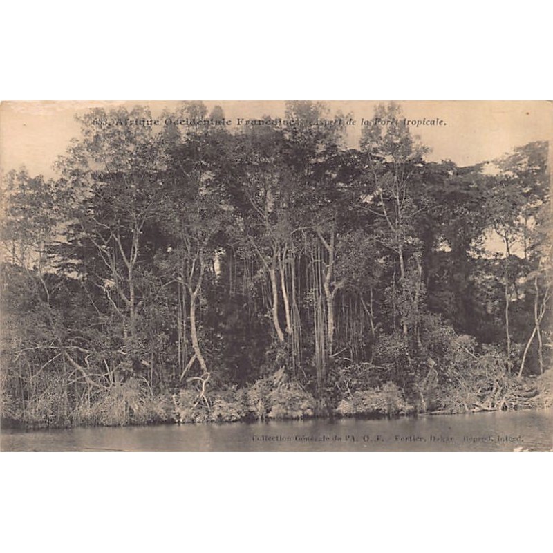 Rare collectable postcards of Senegal. Vintage Postcards of Senegal