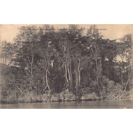 Rare collectable postcards of Senegal. Vintage Postcards of Senegal