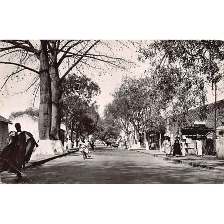 Rare collectable postcards of Senegal. Vintage Postcards of Senegal