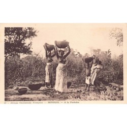 Rare collectable postcards of Senegal. Vintage Postcards of Senegal