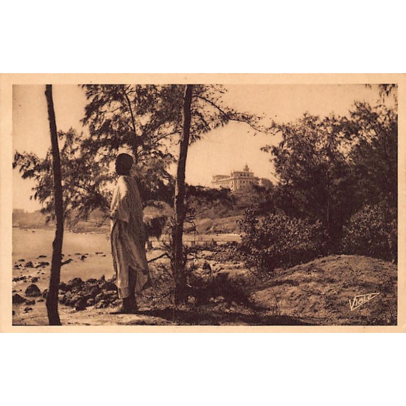 Rare collectable postcards of Senegal. Vintage Postcards of Senegal