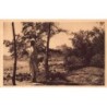 Rare collectable postcards of Senegal. Vintage Postcards of Senegal