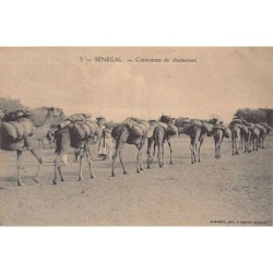 Rare collectable postcards of Senegal. Vintage Postcards of Senegal