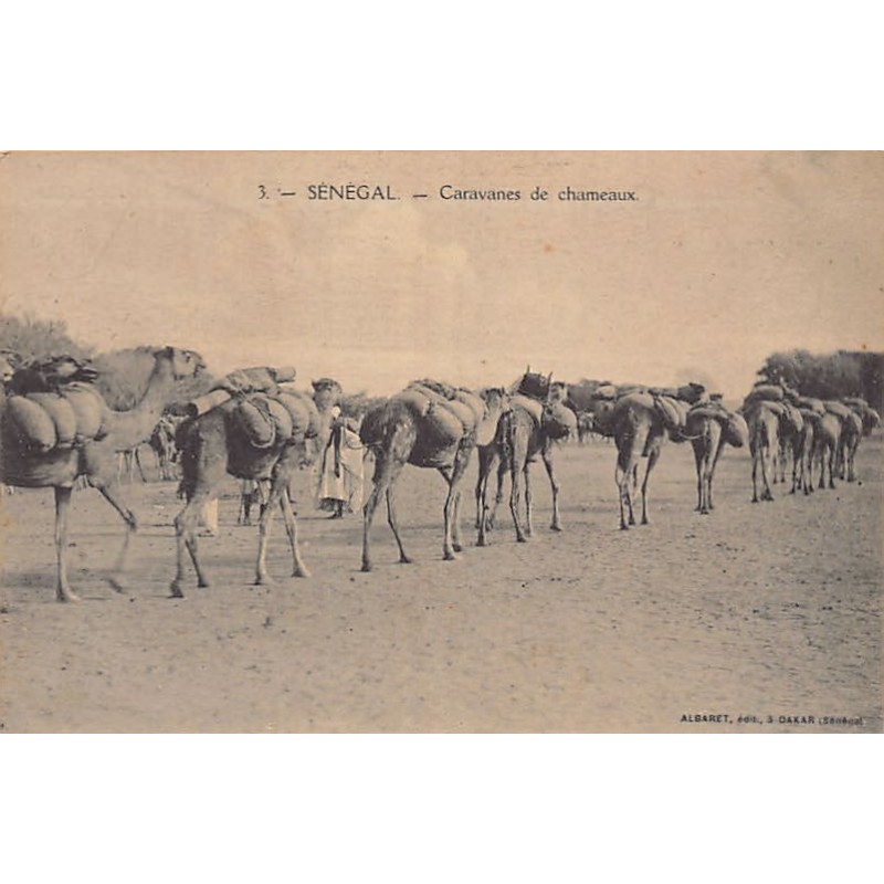 Rare collectable postcards of Senegal. Vintage Postcards of Senegal