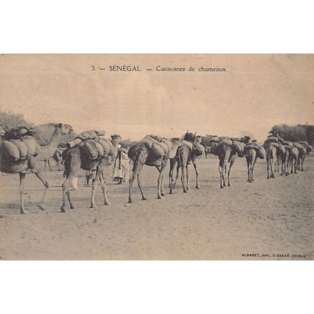 Rare collectable postcards of Senegal. Vintage Postcards of Senegal