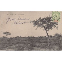 Rare collectable postcards of Senegal. Vintage Postcards of Senegal