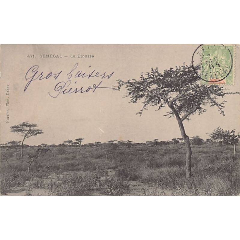 Rare collectable postcards of Senegal. Vintage Postcards of Senegal