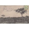 Rare collectable postcards of Senegal. Vintage Postcards of Senegal