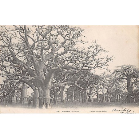 Rare collectable postcards of Senegal. Vintage Postcards of Senegal