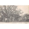 Rare collectable postcards of Senegal. Vintage Postcards of Senegal
