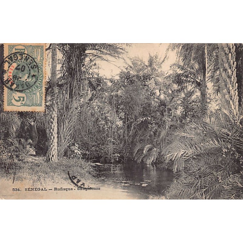Rare collectable postcards of Senegal. Vintage Postcards of Senegal