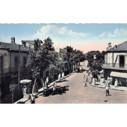 Rare collectable postcards of Algeria. Vintage Postcards of Algeria