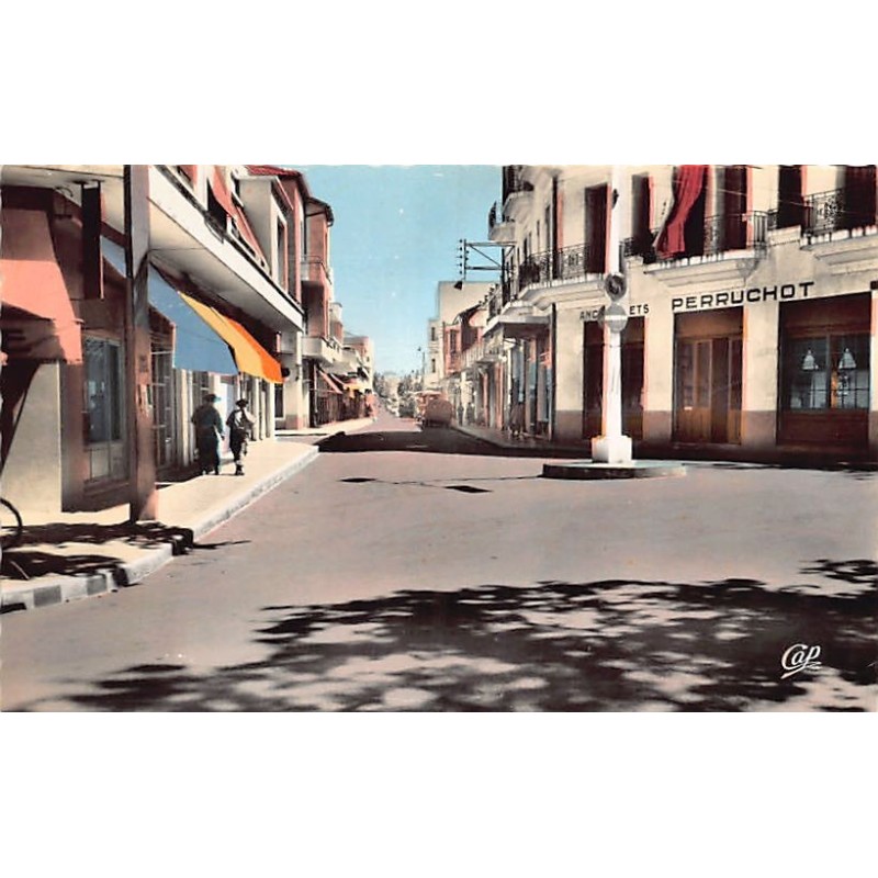 Rare collectable postcards of Algeria. Vintage Postcards of Algeria