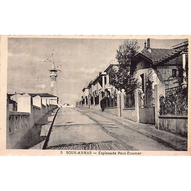 Rare collectable postcards of Algeria. Vintage Postcards of Algeria