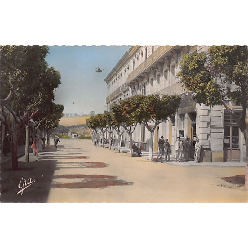 Rare collectable postcards of Algeria. Vintage Postcards of Algeria