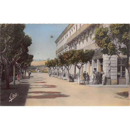 Rare collectable postcards of Algeria. Vintage Postcards of Algeria