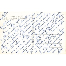 Rare collectable postcards of Algeria. Vintage Postcards of Algeria