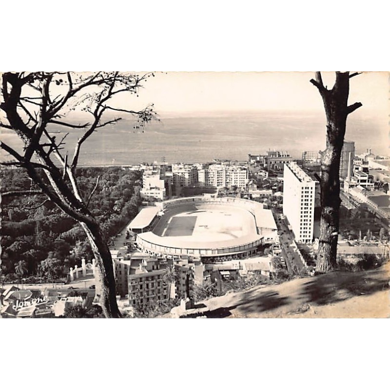 Rare collectable postcards of Algeria. Vintage Postcards of Algeria