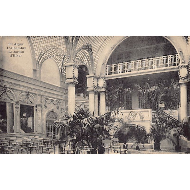 Rare collectable postcards of Algeria. Vintage Postcards of Algeria