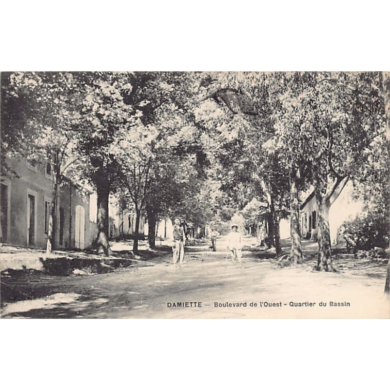 Rare collectable postcards of Algeria. Vintage Postcards of Algeria