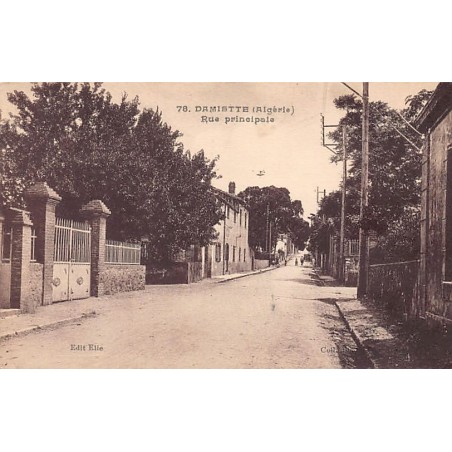 Rare collectable postcards of Algeria. Vintage Postcards of Algeria