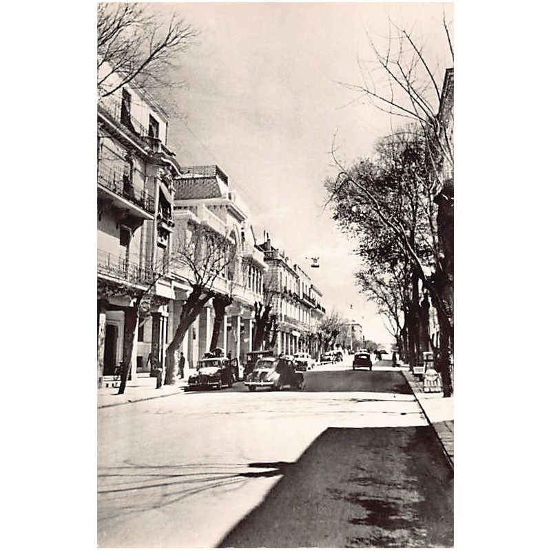 Rare collectable postcards of Algeria. Vintage Postcards of Algeria