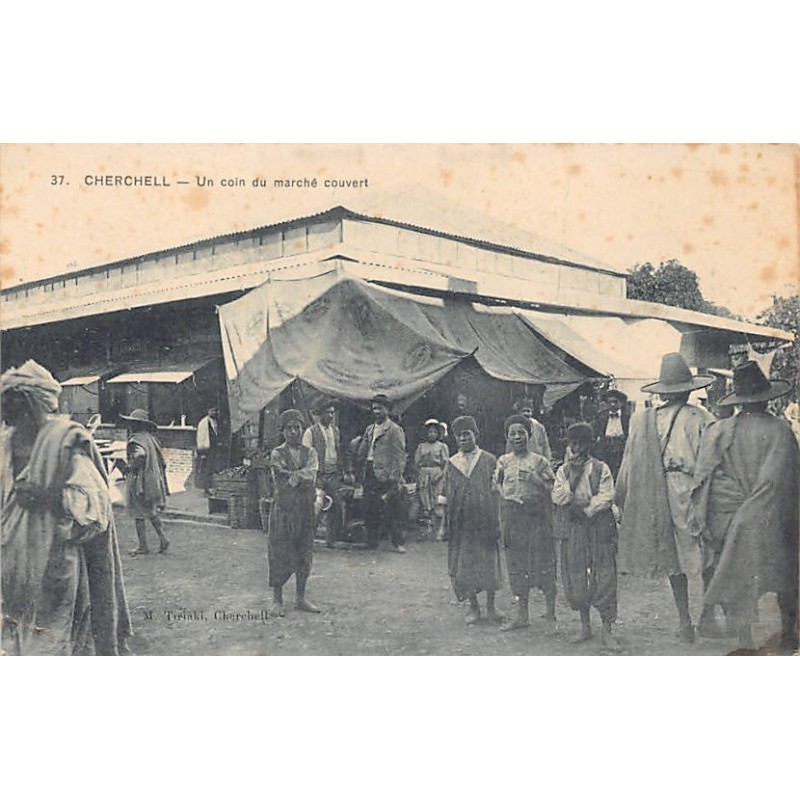 Rare collectable postcards of Algeria. Vintage Postcards of Algeria