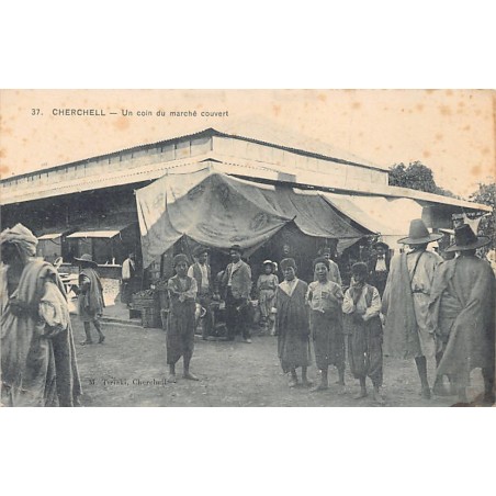 Rare collectable postcards of Algeria. Vintage Postcards of Algeria